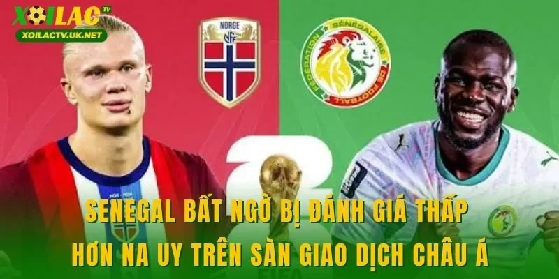 Senegal bất ngờ bị đánh giá thấp hơn Na Uy trên sàn giao dịch châu Á