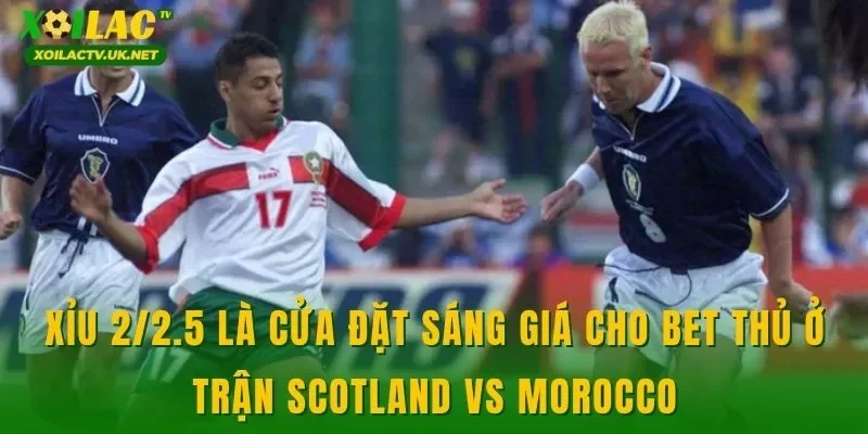 Xỉu 2/2.5 là cửa đặt sáng giá cho bet thủ ở trận Scotland vs Morocco