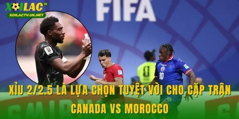 Xỉu 2/2.5 là lựa chọn tuyệt vời cho cặp trận Canada vs Morocco