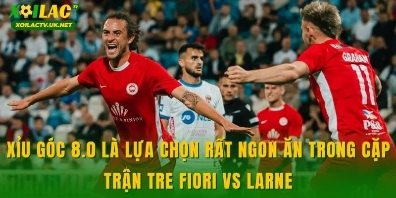 Xỉu góc 8.0 là lựa chọn rất ngon ăn trong cặp trận Tre Fiori vs Larne
