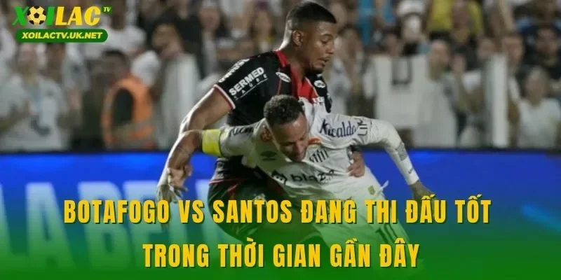 Botafogo vs Santos đang thi đấu tốt trong thời gian gần đây
