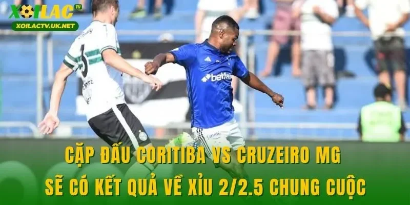 Cặp đấu Coritiba vs Cruzeiro MG sẽ có kết quả về xỉu 2/2.5 chung cuộc