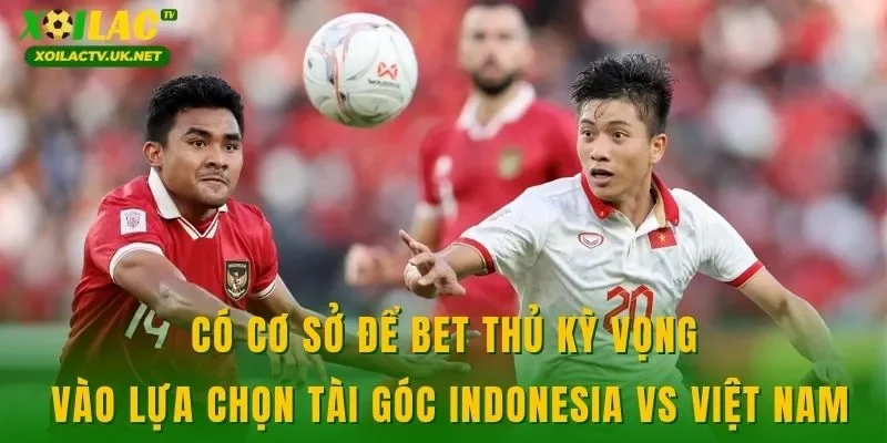 Có cơ sở để bet thủ kỳ vọng vào lựa chọn tài góc Indonesia vs Việt Nam