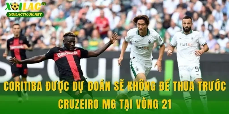 Coritiba được dự đoán sẽ không để thua trước Cruzeiro MG tại vòng 21