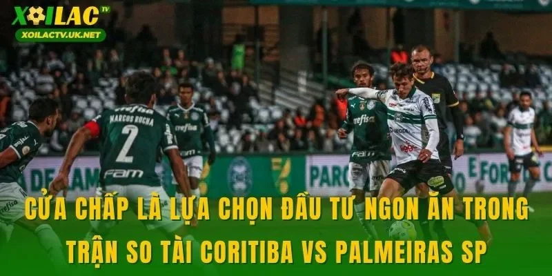 Cửa chấp là lựa chọn đầu tư ngon ăn trong trận so tài Coritiba vs Palmeiras SP