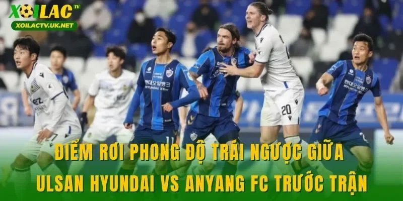 Điểm rơi phong độ trái ngược giữa Ulsan Hyundai vs Anyang FC trước trận