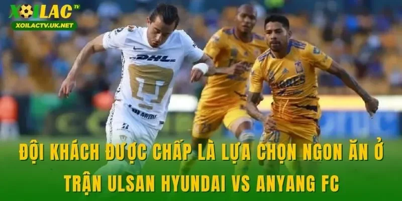 Đội khách được chấp là lựa chọn ngon ăn ở trận Ulsan Hyundai vs Anyang FC