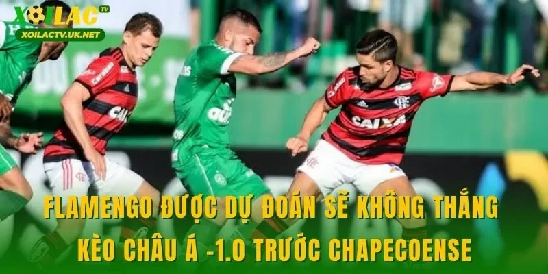 Flamengo được dự đoán sẽ không thắng kèo châu Á -1.0 trước Chapecoense