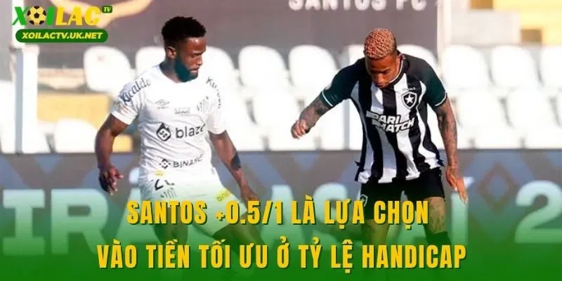 Santos +0.5/1 là lựa chọn vào tiền tối ưu ở tỷ lệ handicap