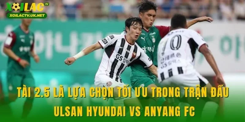 Tài 2.5 là lựa chọn tối ưu trong trận đấu Ulsan Hyundai vs Anyang FC