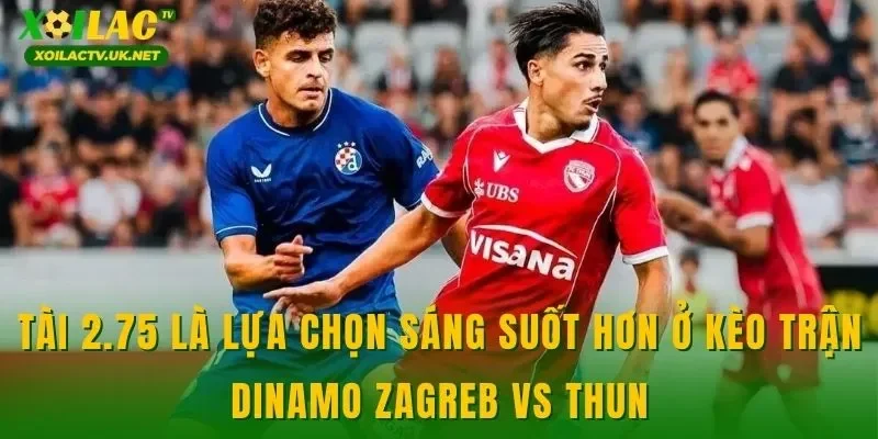 Tài 2.75 là lựa chọn sáng suốt hơn ở kèo trận Dinamo Zagreb vs Thun
