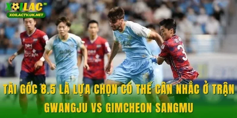 Tài góc 8.5 là lựa chọn có thể cân nhắc ở trận Gwangju vs Gimcheon Sangmu