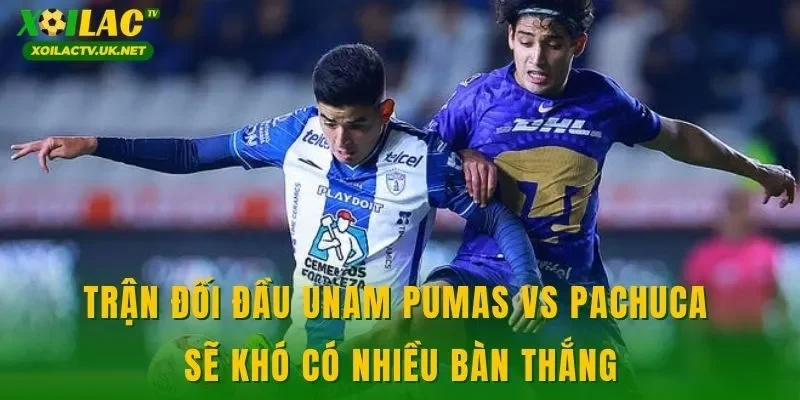 Trận đối đầu UNAM Pumas vs Pachuca sẽ khó có nhiều bàn thắng