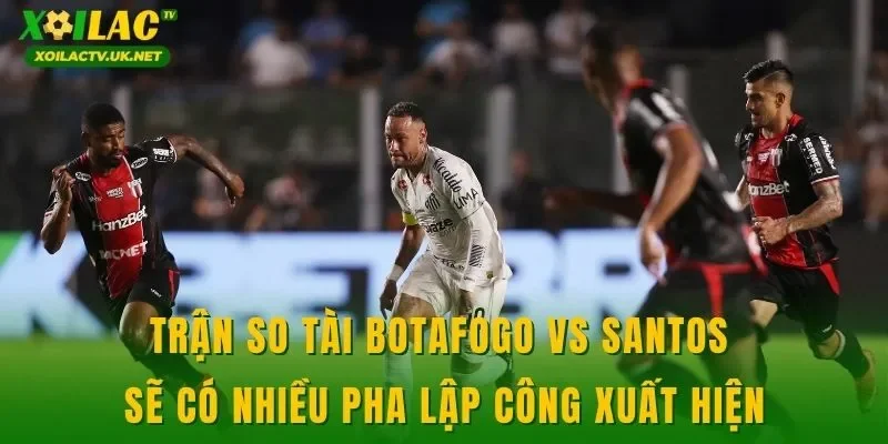 Trận so tài Botafogo vs Santos sẽ có nhiều pha lập công xuất hiện