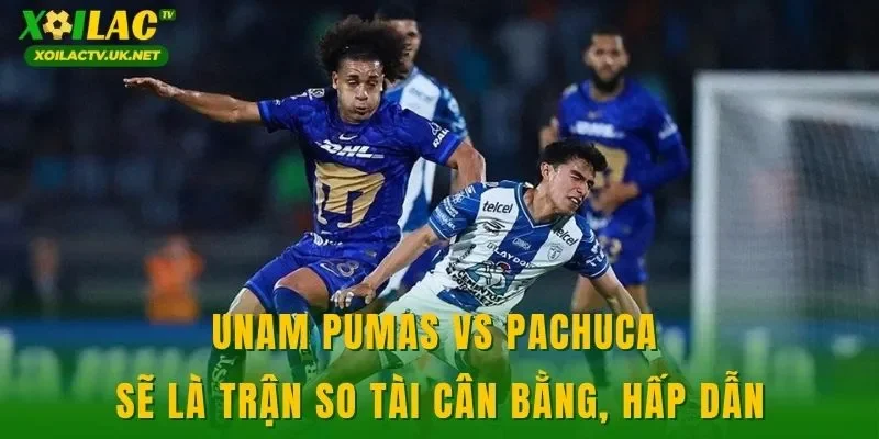 UNAM Pumas vs Pachuca sẽ là trận so tài cân bằng, hấp dẫn