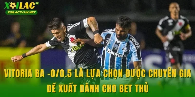 Vitoria BA -0/0.5 là lựa chọn được chuyên gia đề xuất dành cho bet thủ