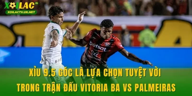 Xỉu 9.5 góc là lựa chọn tuyệt vời trong trận đấu Vitoria BA vs Palmeiras