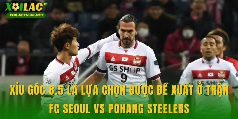Xỉu góc 8.5 là lựa chọn được đề xuất ở trận FC Seoul vs Pohang Steelers