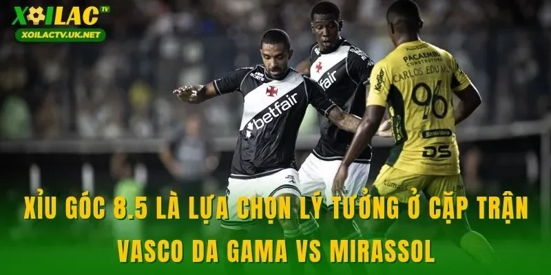 Xỉu góc 8.5 là lựa chọn lý tưởng ở cặp trận Vasco Da Gama vs Mirassol