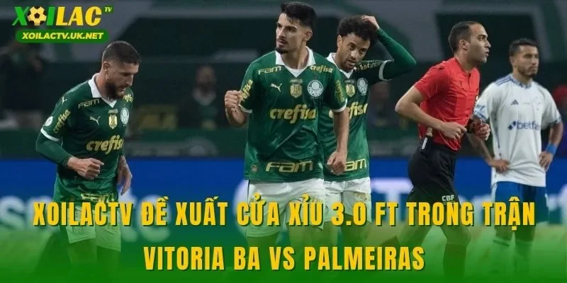 XOILACTV đề xuất cửa xỉu 3.0 FT trong trận Vitoria BA vs Palmeiras